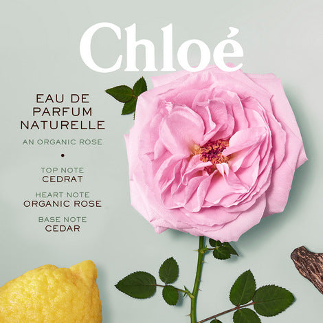 Chloe perfume official website online